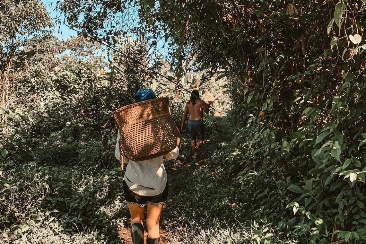 
                  
                    A journey into the Ecuadorian Amazon
                  
                