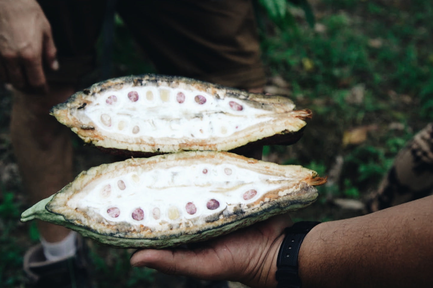 
                  
                    A journey into the Ecuadorian Amazon
                  
                