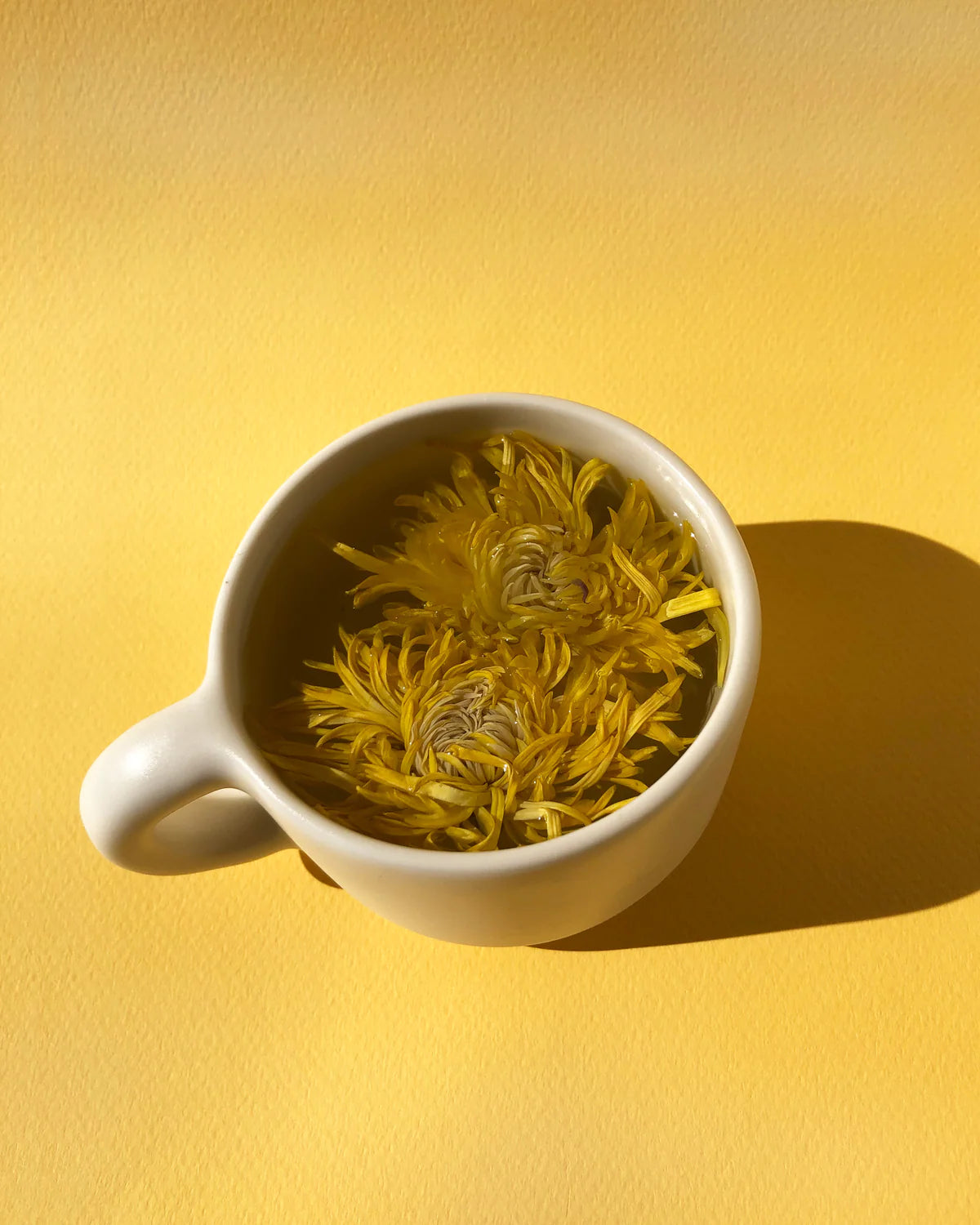 
                  
                    The Qi Whole Flower Tea
                  
                